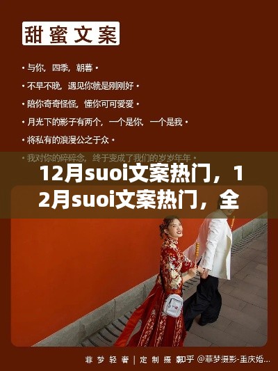 全面評(píng)測(cè)與介紹，12月熱門(mén)suoi文案精選