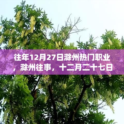 滁州十二月二十七日職業(yè)風(fēng)采變遷回顧，歷史影響與今日熱門(mén)職業(yè)解析