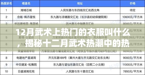 揭秘十二月武術(shù)熱潮中的熱門服飾名稱，武術(shù)服裝流行趨勢解析