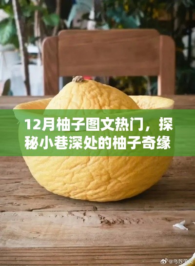 下里巴人 第3頁(yè)