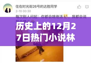 歷史上的12月27日，林天宇與寧麗霞的熱門小說之旅