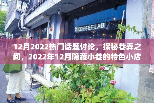 巷弄探秘，揭秘十二月隱藏小巷的特色小店故事
