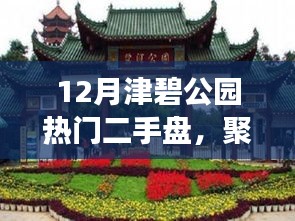 津碧公園熱門二手盤解讀與置業(yè)指南，熱門房源一覽及指南