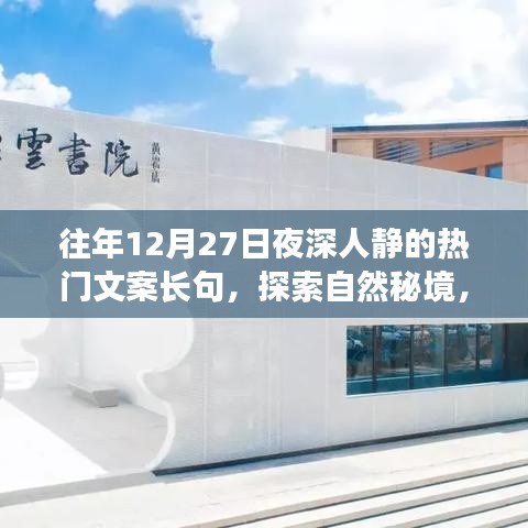 探索自然秘境，深夜星空下的心靈之旅，尋找內(nèi)心的寧靜與寧靜的夜對話