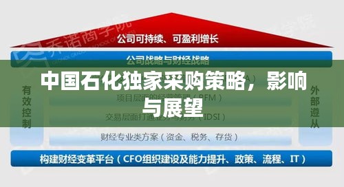 中國石化獨家采購策略，影響與展望