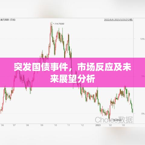 突發(fā)國債事件，市場反應(yīng)及未來展望分析