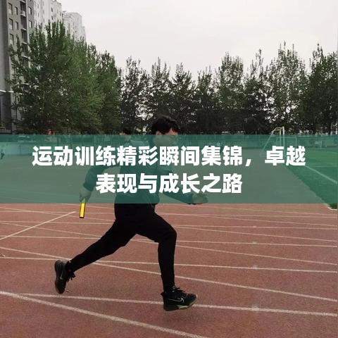 運(yùn)動(dòng)訓(xùn)練精彩瞬間集錦，卓越表現(xiàn)與成長之路