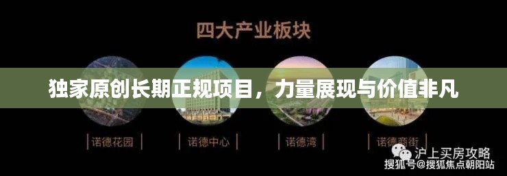 獨(dú)家原創(chuàng)長(zhǎng)期正規(guī)項(xiàng)目，力量展現(xiàn)與價(jià)值非凡