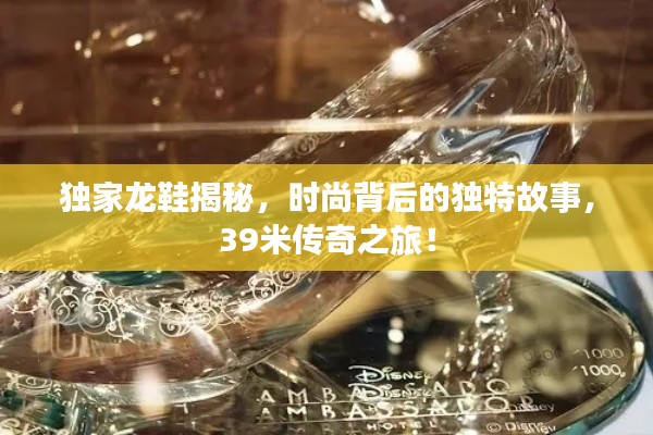 獨(dú)家龍鞋揭秘，時(shí)尚背后的獨(dú)特故事，39米傳奇之旅！