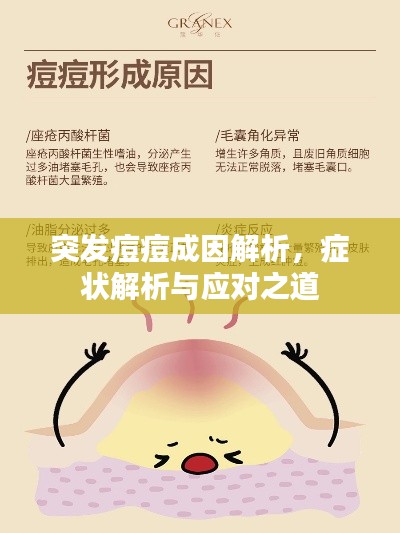 突發(fā)痘痘成因解析，癥狀解析與應對之道