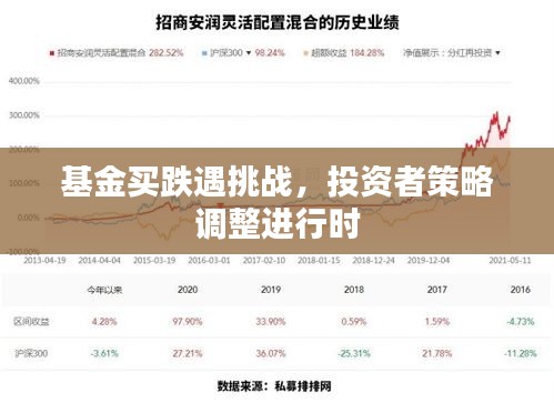 基金買跌遇挑戰(zhàn)，投資者策略調(diào)整進行時