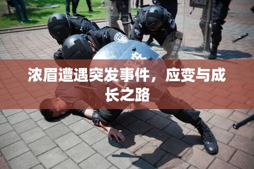 濃眉遭遇突發(fā)事件，應(yīng)變與成長(zhǎng)之路