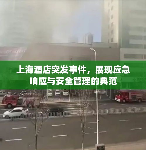 上海酒店突發(fā)事件，展現(xiàn)應(yīng)急響應(yīng)與安全管理的典范