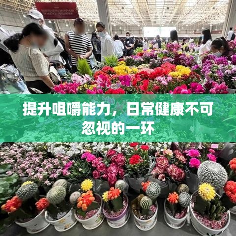 提升咀嚼能力，日常健康不可忽視的一環(huán)