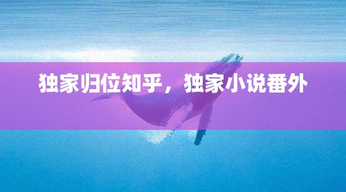 獨(dú)家歸位知乎，獨(dú)家小說番外 