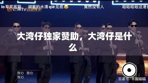 大灣仔獨(dú)家贊助，大灣仔是什么 