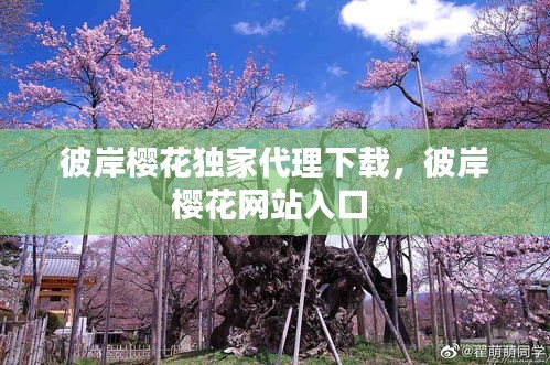 彼岸櫻花獨(dú)家代理下載，彼岸櫻花網(wǎng)站入口 
