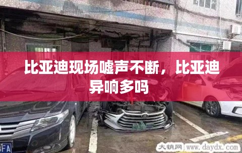 比亞迪現(xiàn)場噓聲不斷，比亞迪異響多嗎 
