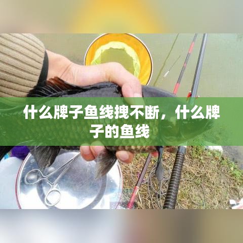 什么牌子魚線拽不斷，什么牌子的魚線 
