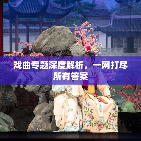 戲曲專(zhuān)題深度解析，一網(wǎng)打盡所有答案