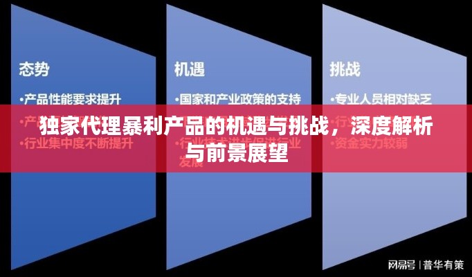 獨家代理暴利產品的機遇與挑戰(zhàn)，深度解析與前景展望