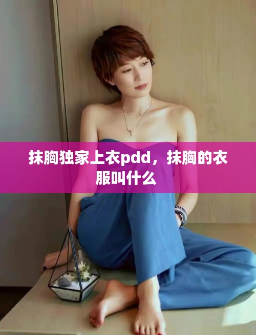 抹胸獨(dú)家上衣pdd，抹胸的衣服叫什么 