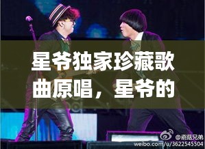 星爺獨(dú)家珍藏歌曲原唱，星爺?shù)母枨鷇j全部 