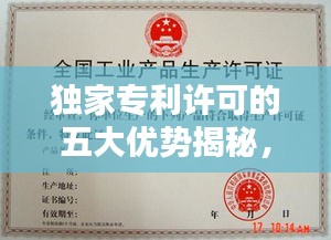 獨家專利許可的五大優(yōu)勢揭秘，專利保護(hù)下的商業(yè)新機(jī)遇！
