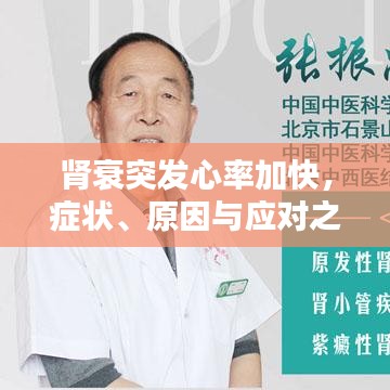 腎衰突發(fā)心率加快，癥狀、原因與應(yīng)對之策
