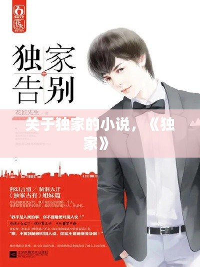 關(guān)于獨(dú)家的小說(shuō)，《獨(dú)家》 