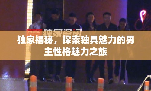 獨(dú)家揭秘，探索獨(dú)具魅力的男主性格魅力之旅