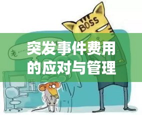 突發(fā)事件費用的應對與管理，核心價值與不可忽視的重要性