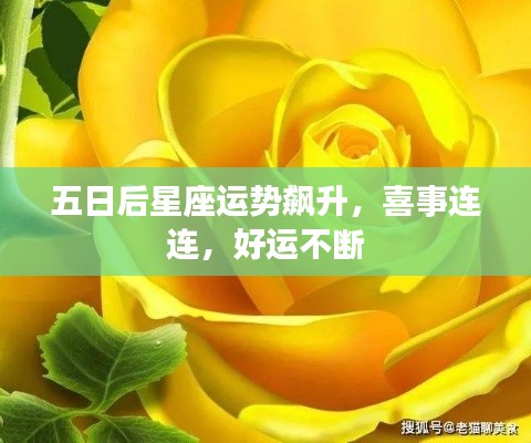 五日后星座運勢飆升，喜事連連，好運不斷