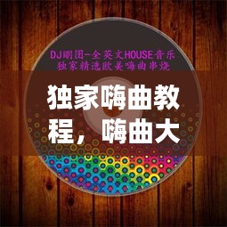 獨家嗨曲教程，嗨曲大全 