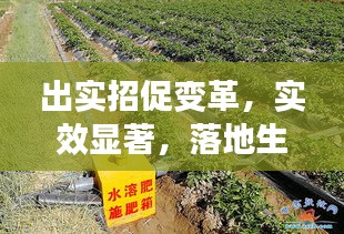 出實(shí)招促變革，實(shí)效顯著，落地生根