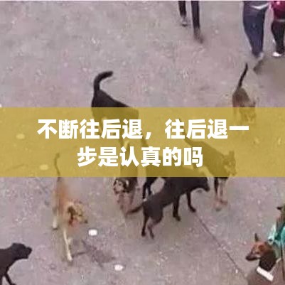不斷往后退，往后退一步是認(rèn)真的嗎 