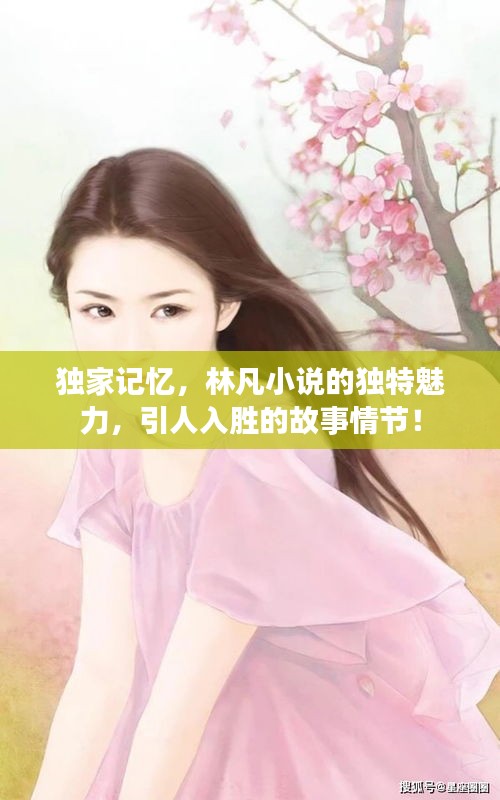 獨(dú)家記憶，林凡小說(shuō)的獨(dú)特魅力，引人入勝的故事情節(jié)！