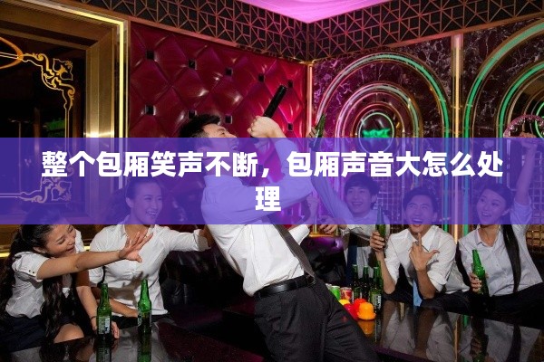 整個(gè)包廂笑聲不斷，包廂聲音大怎么處理 
