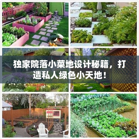 獨(dú)家院落小菜地設(shè)計秘籍，打造私人綠色小天地！