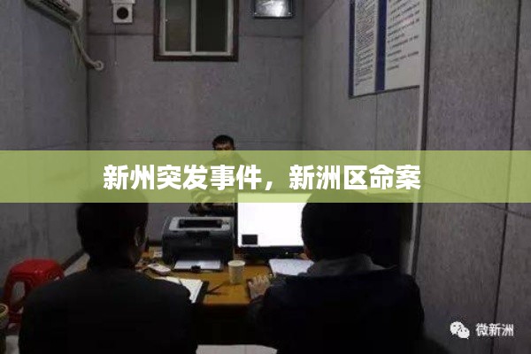 新州突發(fā)事件，新洲區(qū)命案 