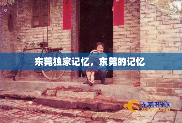 東莞獨家記憶，東莞的記憶 