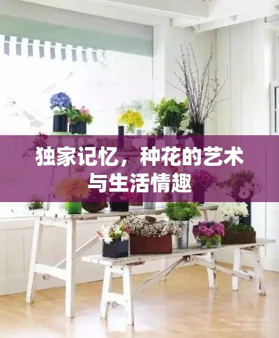 獨(dú)家記憶，種花的藝術(shù)與生活情趣