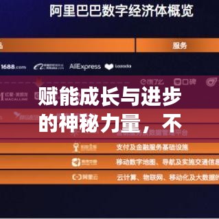 衣不重采 第3頁