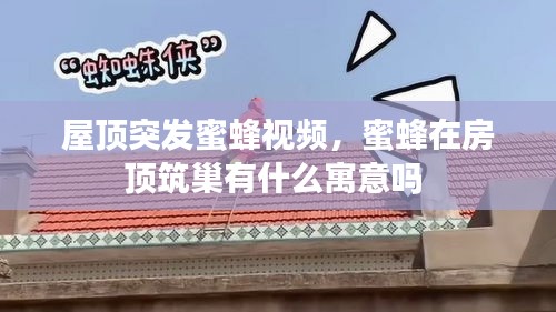屋頂突發(fā)蜜蜂視頻，蜜蜂在房頂筑巢有什么寓意嗎 