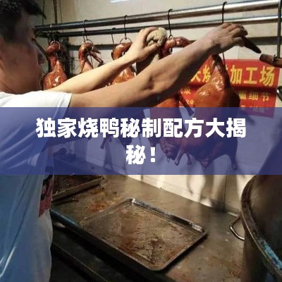 獨(dú)家燒鴨秘制配方大揭秘！