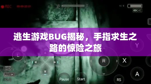 逃生游戲BUG揭秘，手指求生之路的驚險(xiǎn)之旅