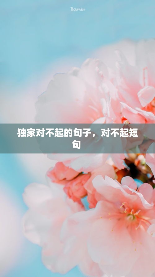 獨(dú)家對(duì)不起的句子，對(duì)不起短句 