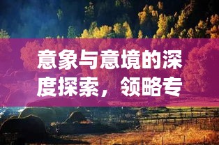意象與意境的深度探索，領(lǐng)略專題魅力