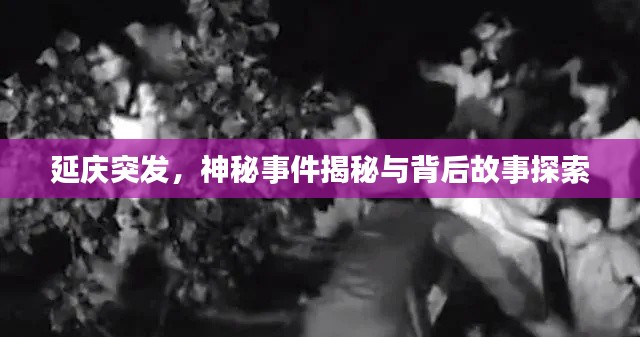 延慶突發(fā)，神秘事件揭秘與背后故事探索