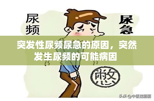 突發(fā)性尿頻尿急的原因，突然發(fā)生尿頻的可能病因 